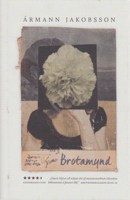 Brotamynd