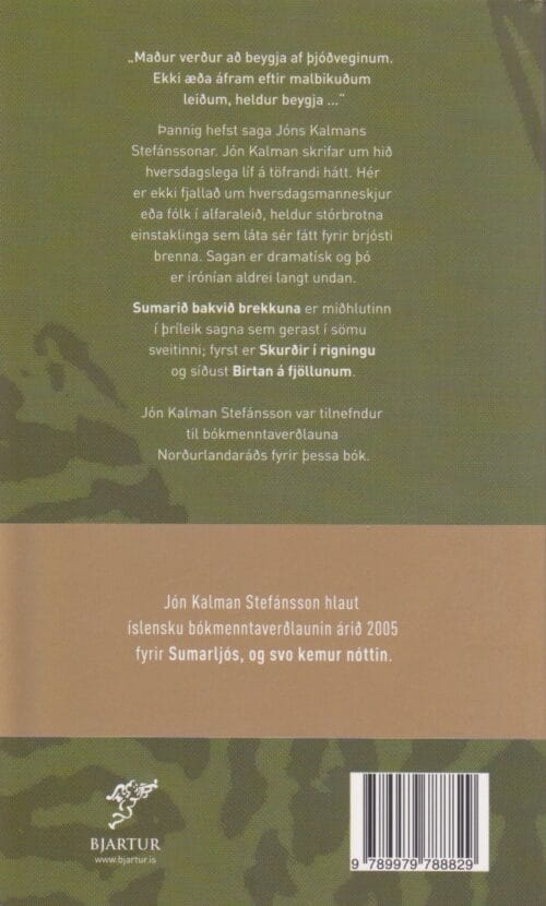 Sumarið bakvið Brekkuna - Image 2