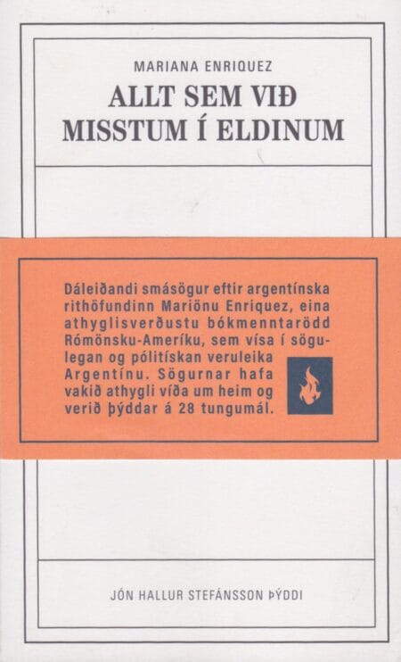 Allt sem við misstum í eldinum (notuð)