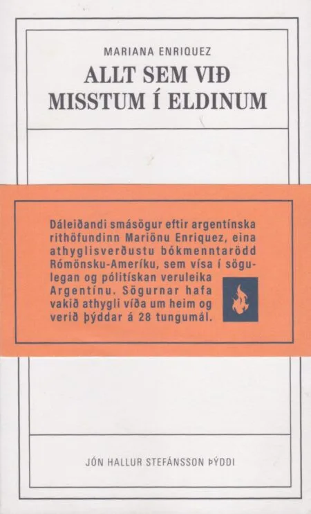 Allt sem við misstum í eldinum (notuð)