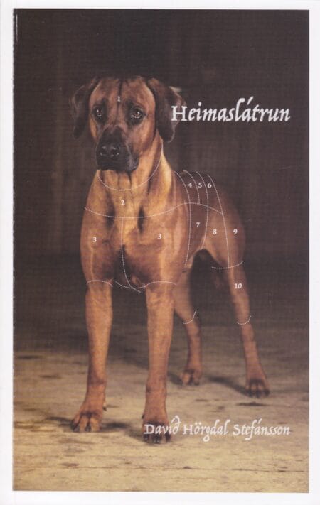 Heimaslátrun