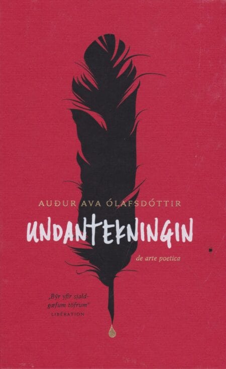 Undantekningin