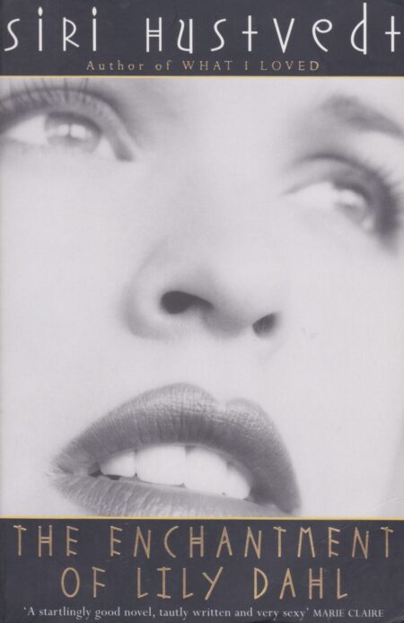The Enchantment of Lily Dahl
