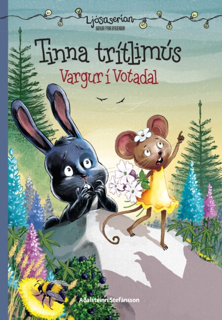 Tinna trítlimús – Vargur í Votadal