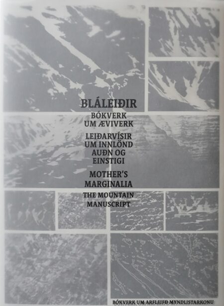 Bláleiðir