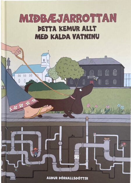 Miðbæjarrottan - Þetta kemur allt með kalda vatninu