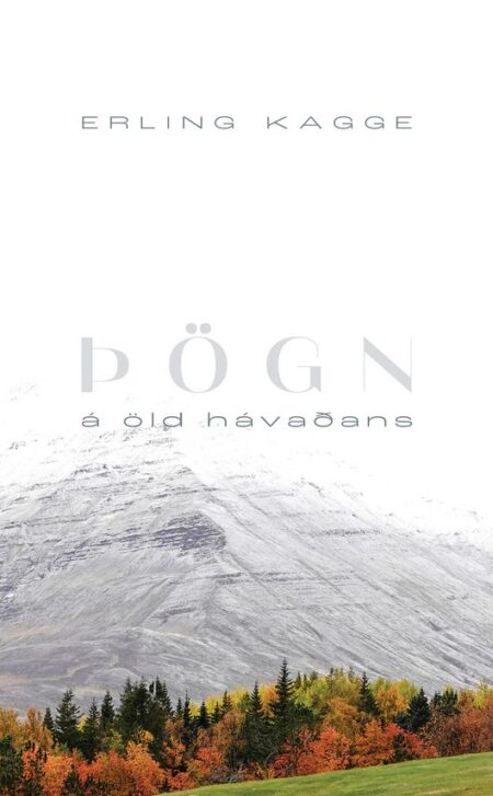 Þögn – á öld hávaðans