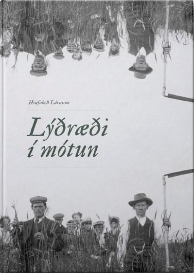 Lýðræði í mótun