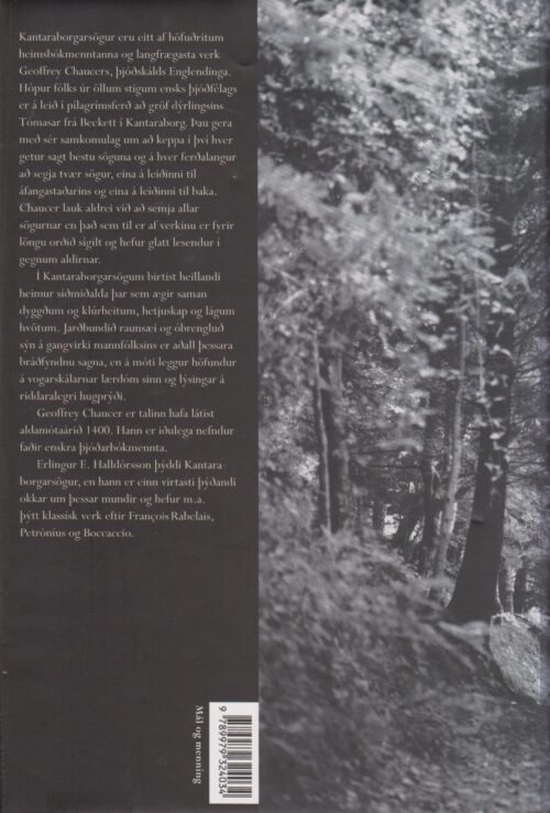 Kantaraborgarsögur - Image 2