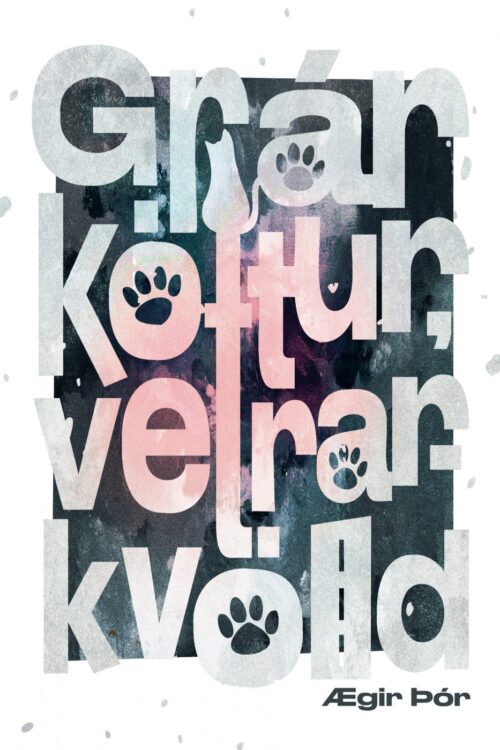 Grár köttur, vetrarkvöld