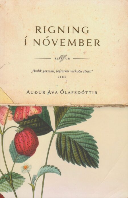 Rigning í nóvember