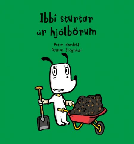 Ibbi sturtar úr hjólbörum