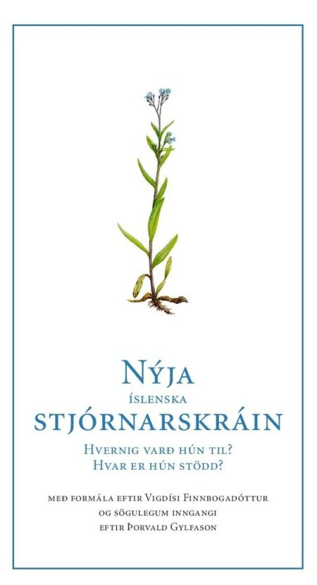 Nýja stjórnarskráin