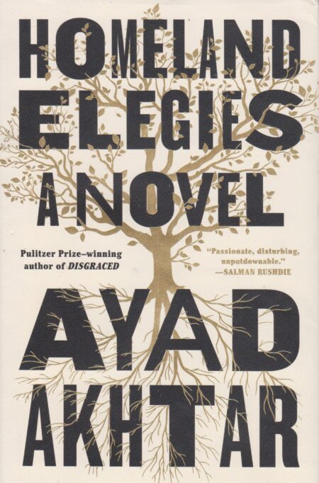 Homeland Elegies