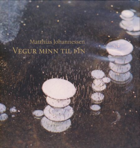 Vegur minn til þín